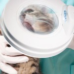 светильник медицинский CIRCLED